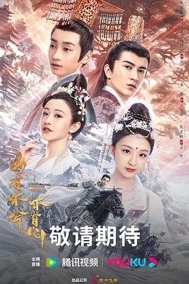 岳母简介海报剧照